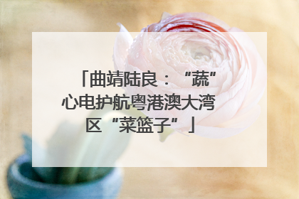 曲靖陆良：“蔬”心电护航粤港澳大湾区“菜篮子”
