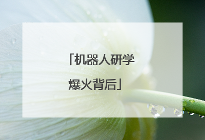 机器人研学爆火背后