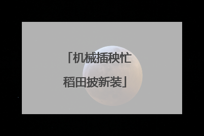 机械插秧忙 稻田披新装