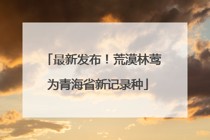 最新发布！荒漠林莺为青海省新记录种