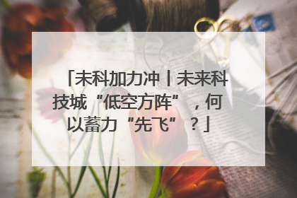 未科加力冲丨未来科技城“低空方阵”，何以蓄力“先飞”？