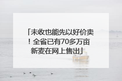 未收也能先以好价卖！全省已有70多万亩新麦在网上售出