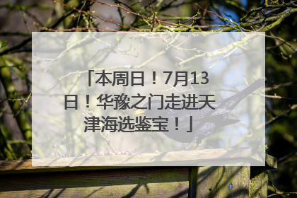 本周日！7月13日！华豫之门走进天津海选鉴宝！