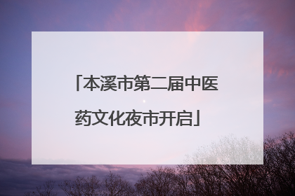本溪市第二届中医药文化夜市开启