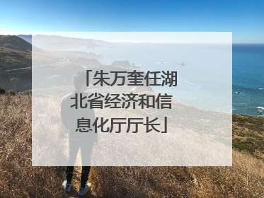 朱万奎任湖北省经济和信息化厅厅长