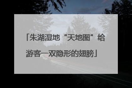 朱湖湿地“天地图”给游客一双隐形的翅膀