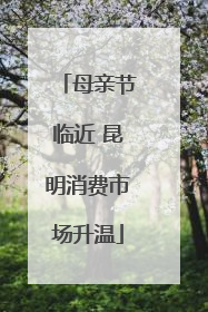 母亲节临近 昆明消费市场升温