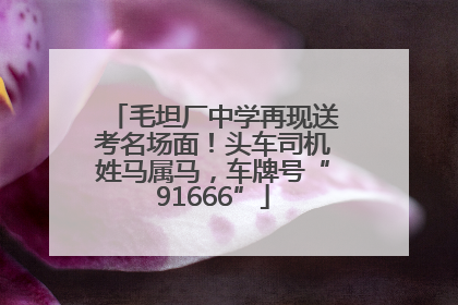 毛坦厂中学再现送考名场面！头车司机姓马属马，车牌号“91666”