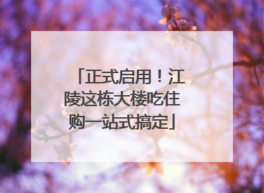 正式启用！江陵这栋大楼吃住购一站式搞定