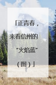 正青春，来看信州的“火焰蓝”（图）