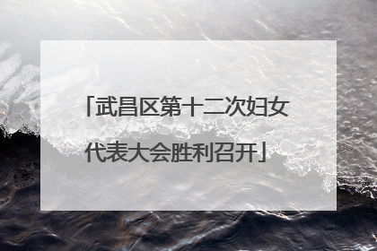 武昌区第十二次妇女代表大会胜利召开
