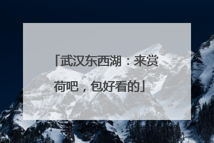 武汉东西湖：来赏荷吧，包好看的
