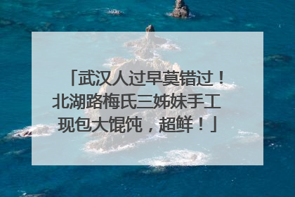 武汉人过早莫错过！北湖路梅氏三姊妹手工现包大馄饨，超鲜！
