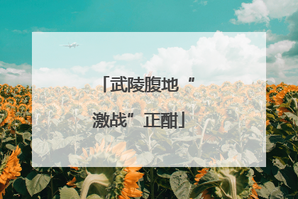 武陵腹地“激战”正酣