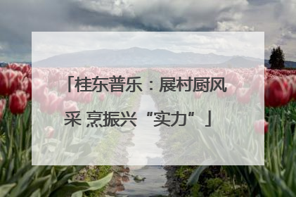 桂东普乐：展村厨风采 烹振兴“实力”