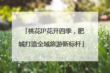 桃花IP花开四季，肥城打造全域旅游新标杆