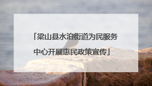 梁山县水泊街道为民服务中心开展惠民政策宣传