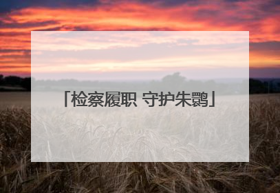 检察履职 守护朱鹮