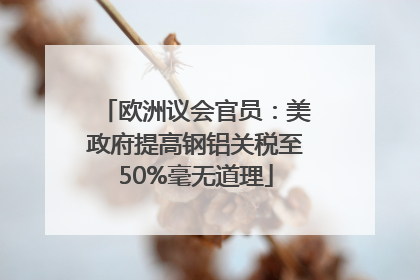 欧洲议会官员：美政府提高钢铝关税至50%毫无道理