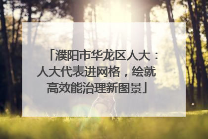 濮阳市华龙区人大：人大代表进网格，绘就高效能治理新图景