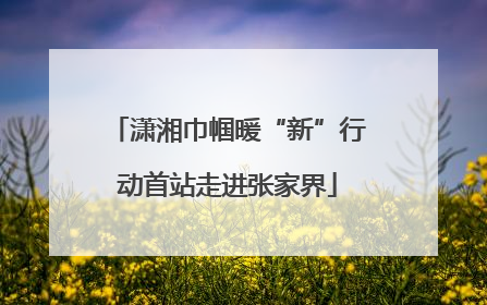 潇湘巾帼暖“新”行动首站走进张家界