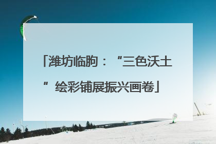 潍坊临朐：“三色沃土”绘彩铺展振兴画卷
