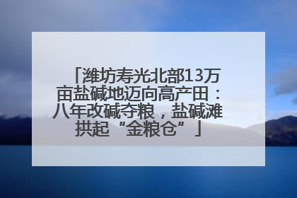 潍坊寿光北部13万亩盐碱地迈向高产田：八年改碱夺粮，盐碱滩拱起“金粮仓”