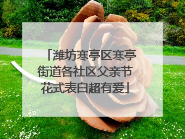 潍坊寒亭区寒亭街道各社区父亲节花式表白超有爱