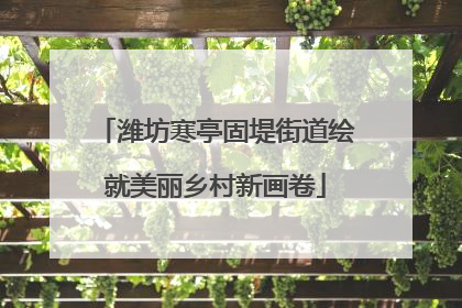 潍坊寒亭固堤街道绘就美丽乡村新画卷