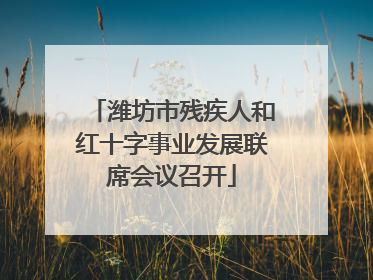 潍坊市残疾人和红十字事业发展联席会议召开