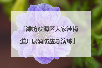 潍坊滨海区大家洼街道开展消防应急演练