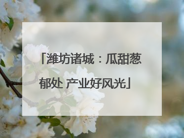 潍坊诸城：瓜甜葱郁处 产业好风光