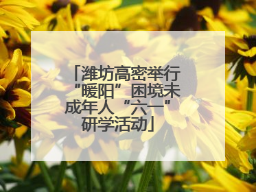 潍坊高密举行“暖阳”困境未成年人“六一”研学活动
