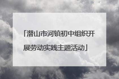 潜山市河镇初中组织开展劳动实践主题活动