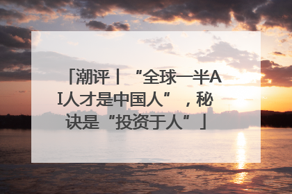 潮评丨“全球一半AI人才是中国人”，秘诀是“投资于人”