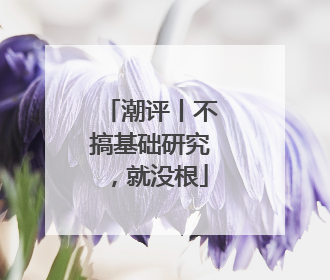 潮评丨不搞基础研究，就没根