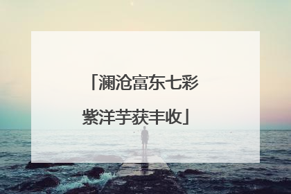 澜沧富东七彩紫洋芋获丰收