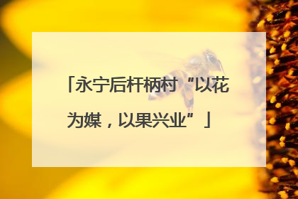 永宁后杆柄村“以花为媒，以果兴业”