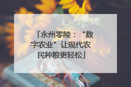 永州零陵：“数字农业”让现代农民种粮更轻松
