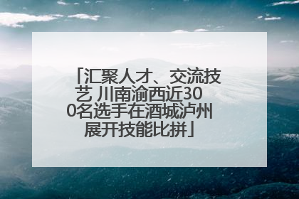 汇聚人才、交流技艺 川南渝西近300名选手在酒城泸州展开技能比拼
