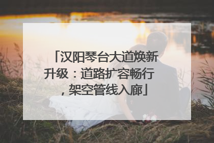 汉阳琴台大道焕新升级：道路扩容畅行，架空管线入廊