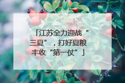 江苏全力迎战“三夏”，打好夏粮丰收“第一仗”