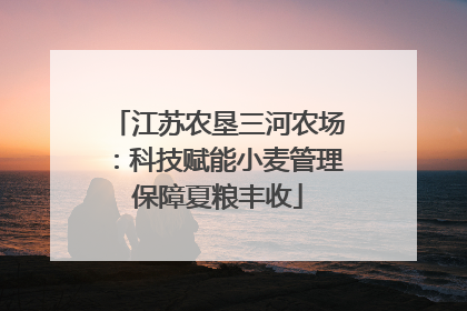 江苏农垦三河农场：科技赋能小麦管理保障夏粮丰收