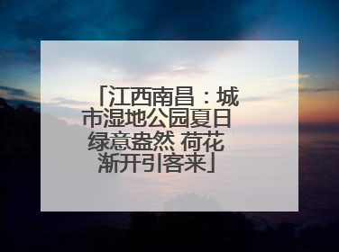 江西南昌：城市湿地公园夏日绿意盎然 荷花渐开引客来