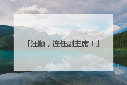 汪顺，连任副主席！