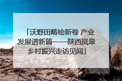 沃野田畴绘新卷 产业发展谱新篇——陕西岚皋乡村振兴走访见闻