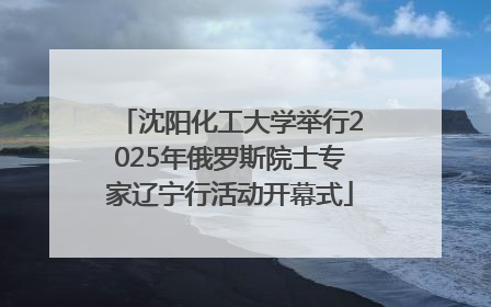 沈阳化工大学举行2025年俄罗斯院士专家辽宁行活动开幕式
