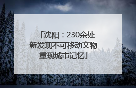 沈阳：230余处新发现不可移动文物重现城市记忆