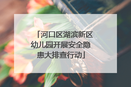河口区湖滨新区幼儿园开展安全隐患大排查行动