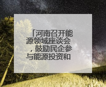 河南召开能源领域座谈会，鼓励民企参与能源投资和项目建设